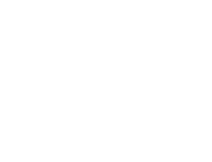 Digital Healthcare Partners